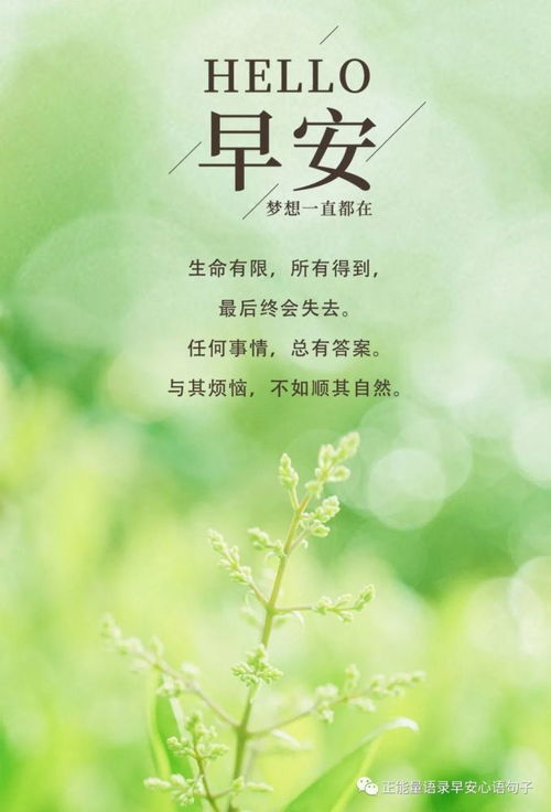 鼓勵孩子讀書(shū)的正能量句子,鼓勵表?yè)P孩子的正能量句子,鼓勵孩子閱讀的正能量句子