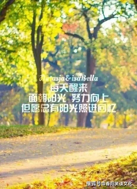 句子,滿(mǎn)滿(mǎn),能量,學(xué)生