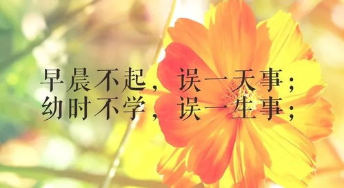 正能量最美的早安句子帶字大全
