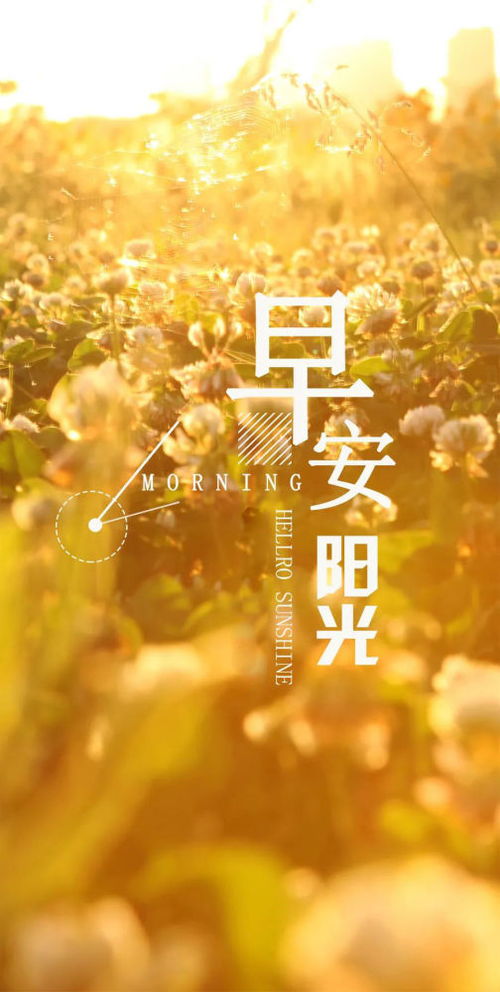 早上開(kāi)心正能量的句子簡(jiǎn)短,早上開(kāi)心正能量的句子朋友圈發(fā),早上開(kāi)心幽默正能量的句子