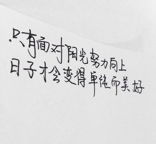 努力工作正能量句子勵志朋友圈,正能量句子勵志努力工作的句子,努力工作正能量的句子
