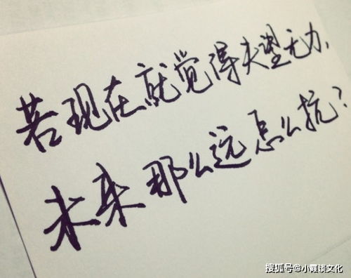英語(yǔ),句子,能量,女生