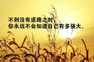 古風(fēng),句子,能量,考研