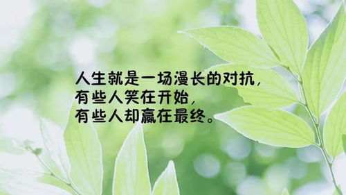 早上發(fā)圈的正能量和句子,適合發(fā)圈正能量的句子和,發(fā)圈的精致句子正能量