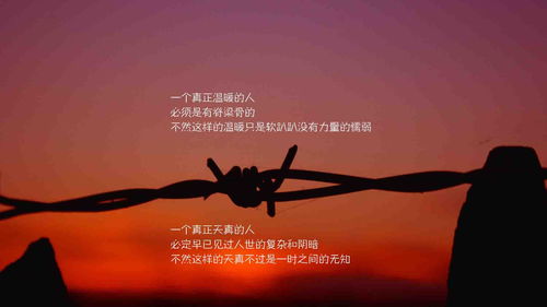 高調(diào)是正能量的句子