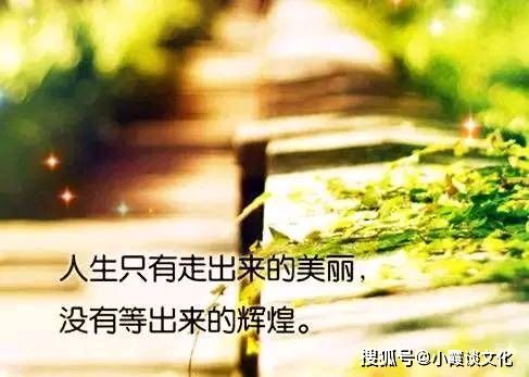 簡(jiǎn)單易懂有深度的句子,簡(jiǎn)單易懂的表白句子,感悟人生簡(jiǎn)單易懂的句子