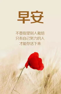 早安發(fā)朋友圈正能量句子勵志,早安發(fā)朋友圈正能量句子簡(jiǎn)單,發(fā)朋友圈早安的正能量句子和