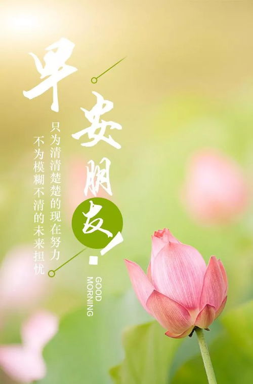 早安正能量句子和,早安勵志正能量的句子帶,早安語(yǔ)錄正能量句子帶