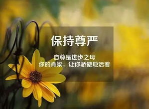 正能量的句子早安語(yǔ)錄朋友圈