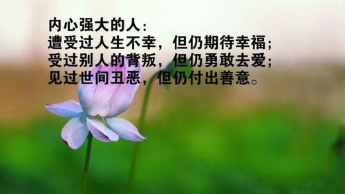 早晨正能量勵(lì)志的短句子,早晨充滿正能量的短句子,積極正能量的話語陽光的句子