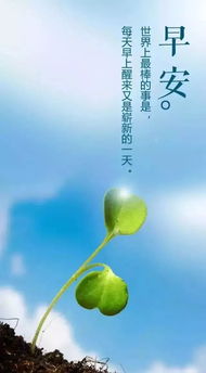 簡(jiǎn)短,句子,勵志,能量