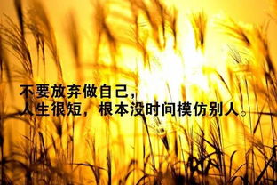 行動(dòng)勵志正能量句子