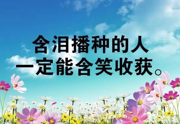 幼兒教師團隊精神正能量的句子,送給幼兒教師正能量的句子,幼兒教師積極向上正能量的句子