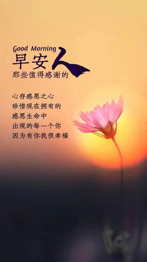 句子,詞語(yǔ),能量