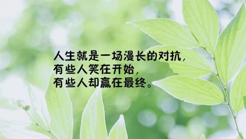 正能量勵志發(fā)圈的句子