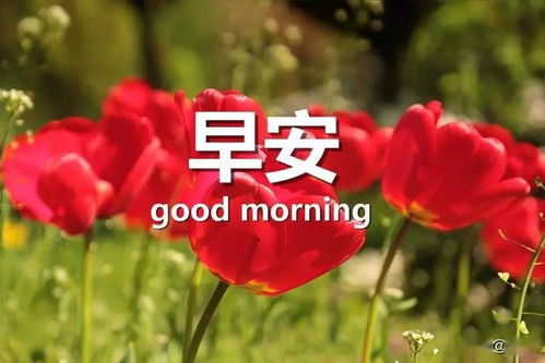 早安幽默正能量的句子說(shuō)說(shuō)心情,早安正能量句子說(shuō)說(shuō)心情短語(yǔ),早安正能量的句子說(shuō)說(shuō)2021年