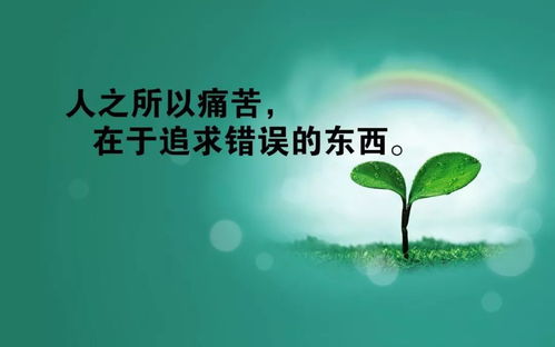 工作勵志的句子正能量感悟模板,工作勵志的句子正能量感悟新的一年,工作勵志的句子正能量感悟英文