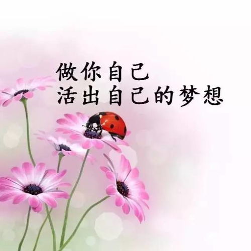 吸粉正能量句子