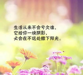正能量吸引人的句子,早上正能量吸引朋友圈的句子,發(fā)圈吸引人的句子正能量