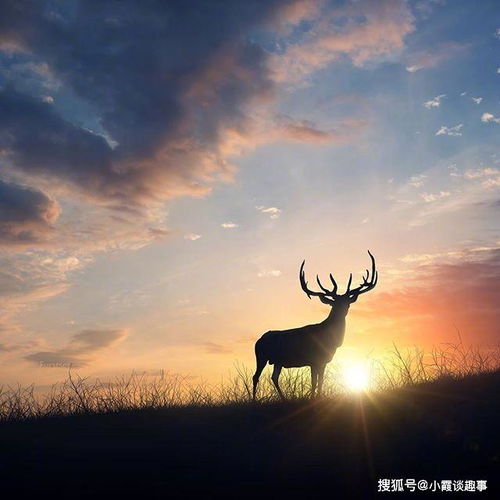 正能量句子陽(yáng)光般的心態(tài)