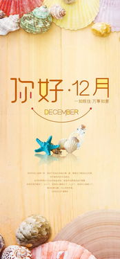 描寫(xiě)12月的正能量句子
