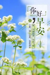 工作早安心語(yǔ)正能量句子,教師工作心語(yǔ)正能量句子,工作勵志心語(yǔ)正能量句子