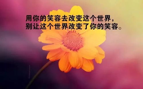 工作勵志心得的句子正能量