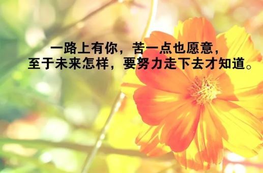 早晨語(yǔ)錄正能量句子
