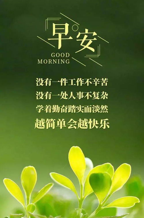 早安正能量朋友圈高質(zhì)量句子,早安正能量的句子朋友圈,早安勵志正能量的句子朋友圈