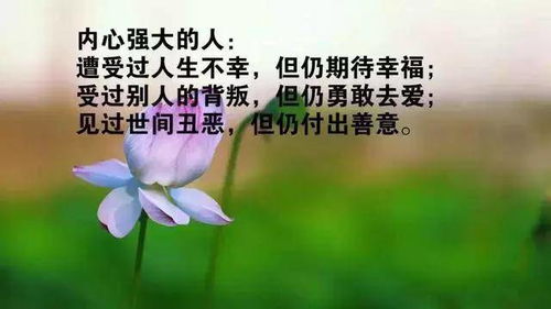 簡(jiǎn)單感恩勵(lì)志正能量的句子,感恩老師勵(lì)志正能量的句子,感恩公司勵(lì)志正能量的句子