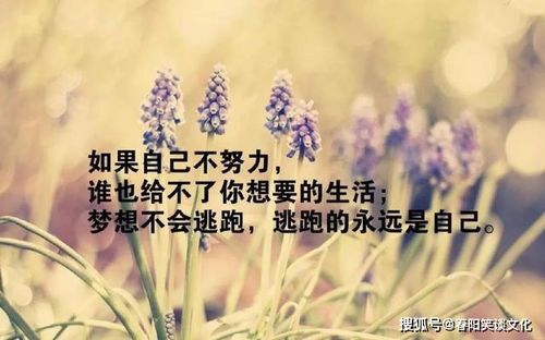 句子,能量,經(jīng)典