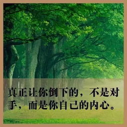 句子,能量,青春,愛(ài)情