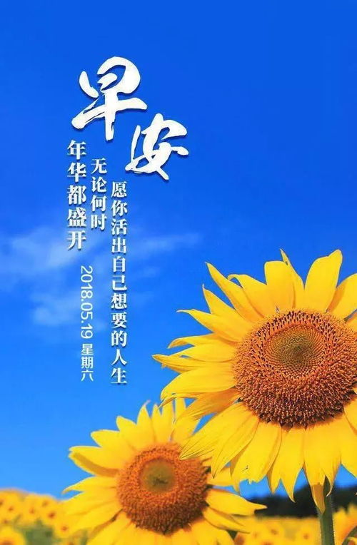 早安勵志正能量的句子,好心態(tài)早安正能量句子,早安語(yǔ)錄正能量的句子