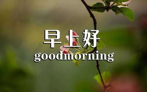 早上好勵(lì)志正能量句子,早上好正能量句子簡(jiǎn)短,早上好朋友圈正能量句子簡(jiǎn)短