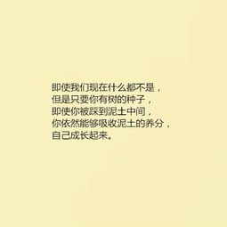 宣傳企業(yè)正能量的句子,宣傳國家正能量的句子,捐款宣傳正能量的句子