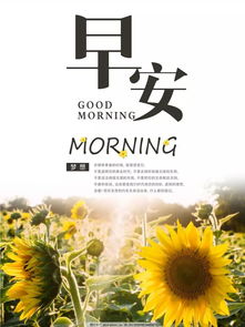 句子,心語(yǔ),養生,能量