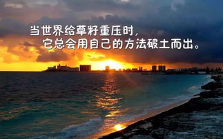 正能量旅行發(fā)朋友圈的句子