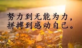 句子,能量,心態(tài)