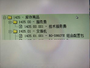 會(huì )計科目,代碼
