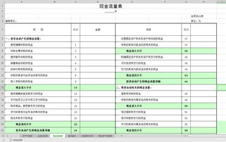 民間非營(yíng)利組織會(huì )計科目編碼,民間非盈利組織會(huì )計制度,民間非盈利組織收到投資會(huì )計科目
