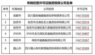 對外融資擔保費入什么會(huì )計科目