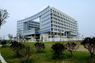 安徽財經(jīng)大學(xué)自考會(huì )計本科科目,安徽財經(jīng)大學(xué)自考官網(wǎng),安徽財經(jīng)大學(xué)自考難嗎