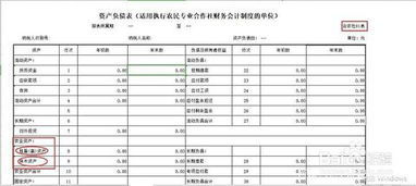 核算,合作社,會(huì )計科目,農民