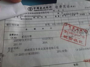 會(huì )計科目,詢(xún)證函