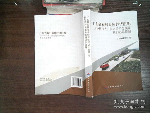 廣東省農村集體組織的會計科目