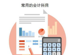 醫院會(huì )計都用什么會(huì )計科目,民營(yíng)非營(yíng)利性醫院會(huì )計科目,私立醫院會(huì )計科目