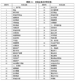 補充,會(huì )計科目,醫療
