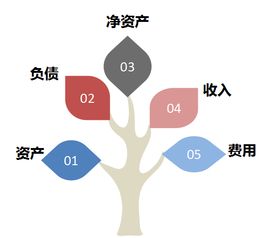 司法局預算會(huì )計科目
