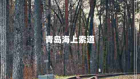 青島海上索道