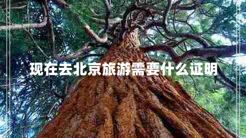 現在去北京旅游需要什么證明
